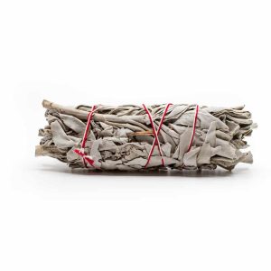 Vit Salvia Smudge medium